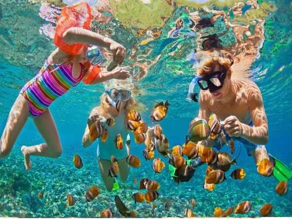 Snorkeling ATV Monkey Sloth Roatan